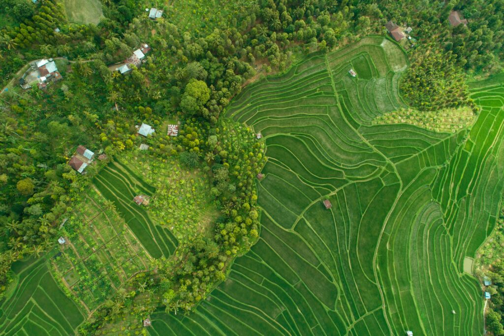 Bali rice field village